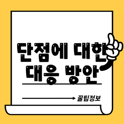 단점에 대한 대응 방안