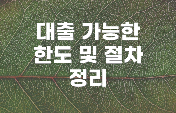 대출 가능한 한도 및 절차 정리