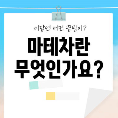 마테차란 무엇인가요?