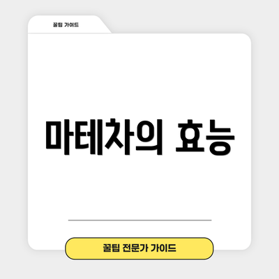 마테차의 효능
