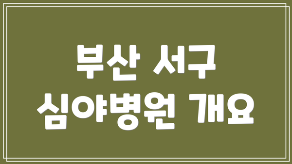 부산 서구 심야병원 개요