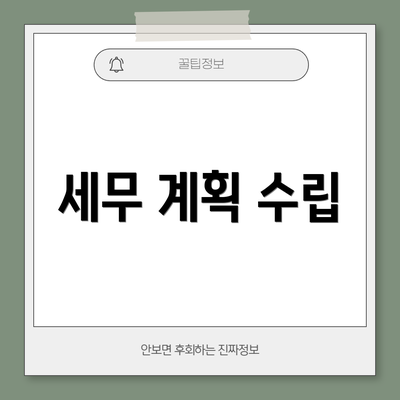 세무 계획 수립