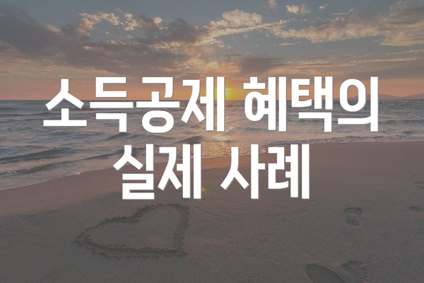 소득공제 혜택의 실제 사례