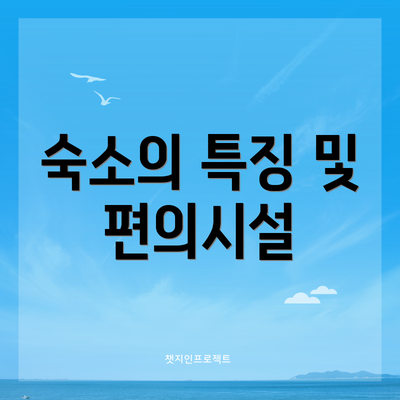 숙소의 특징 및 편의시설