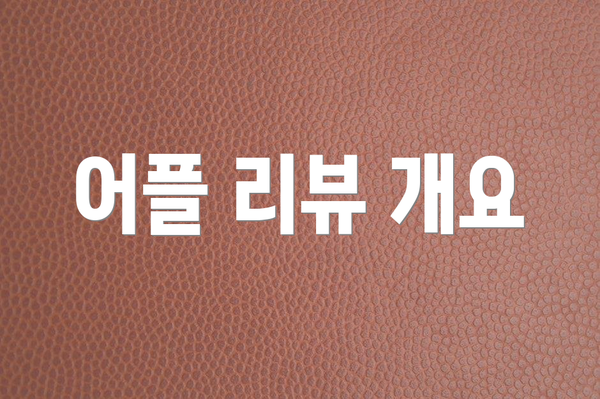 어플 리뷰 개요