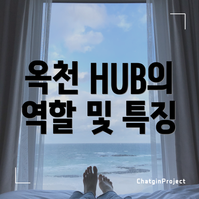 옥천 HUB의 역할 및 특징