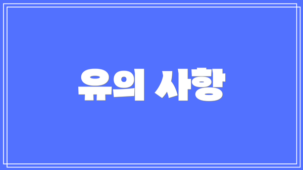 유의 사항