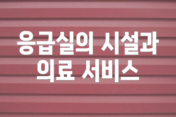 응급실의 시설과 의료 서비스