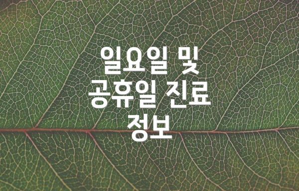 일요일 및 공휴일 진료 정보