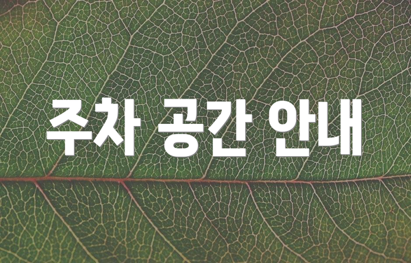 주차 공간 안내
