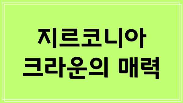 지르코니아 크라운의 매력