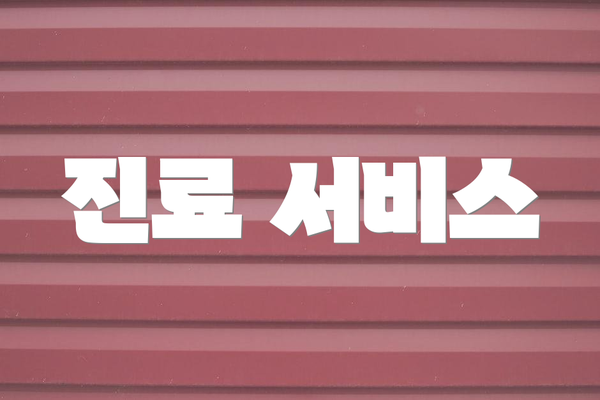 진료 서비스