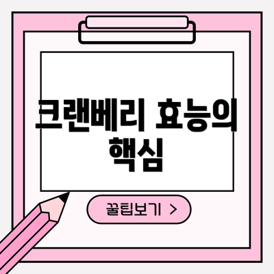 크랜베리 효능의 핵심