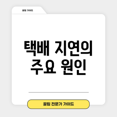 택배 지연의 주요 원인