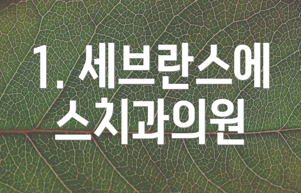 1. 세브란스에스치과의원