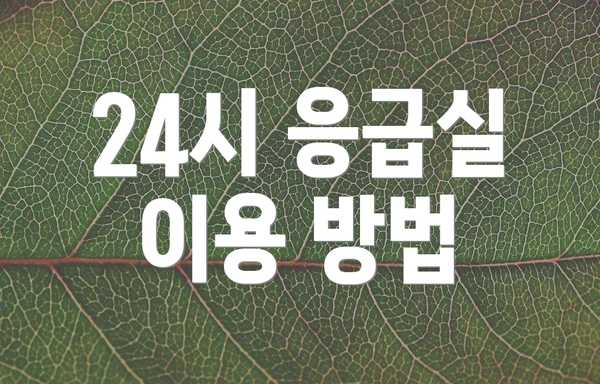 24시 응급실 이용 방법