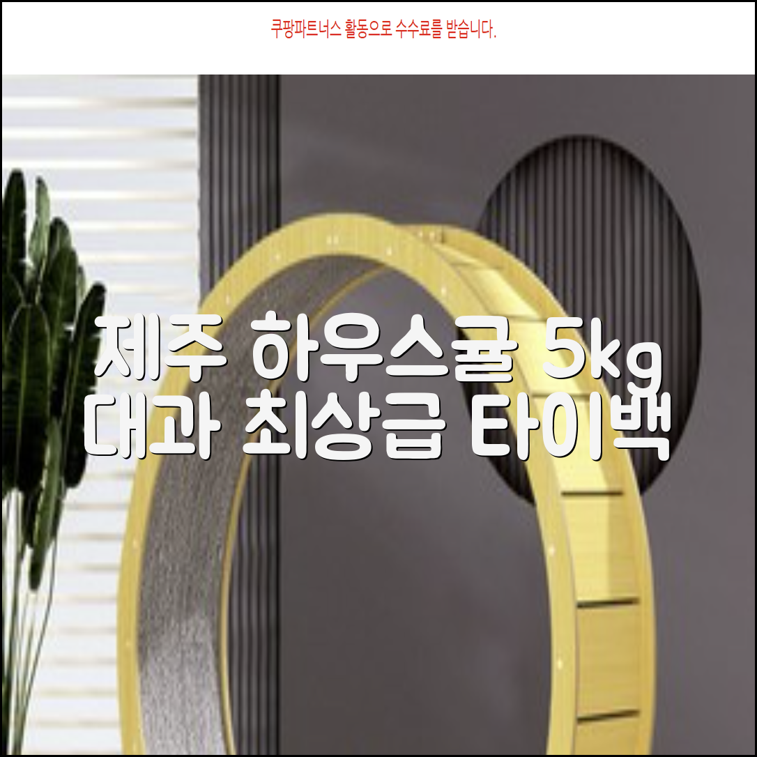 [산지당도선별] 제주 명품 하우스 귤 타이백 감귤, 1박스, 5kg 대과 추천 리뷰