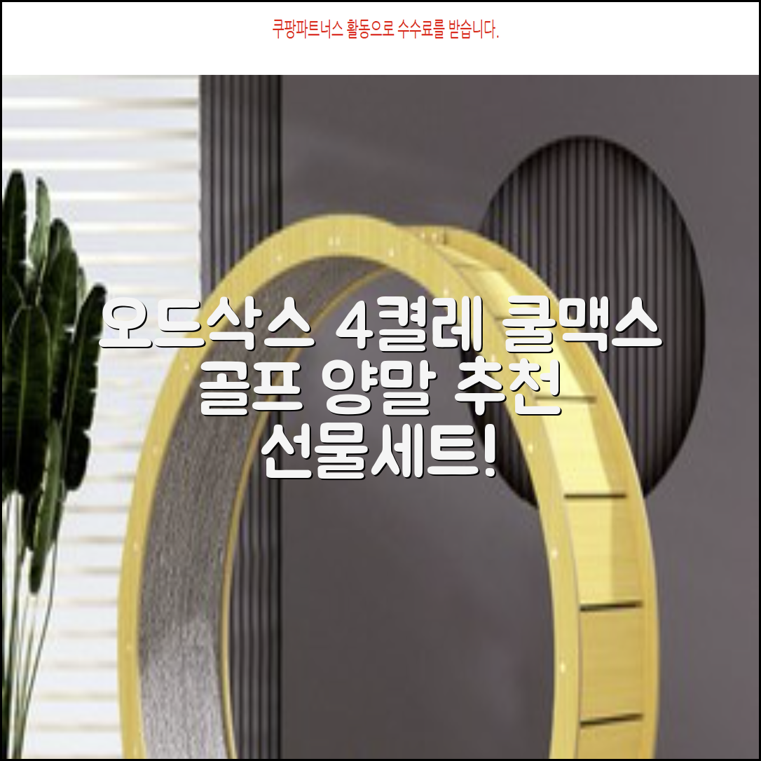 [오드삭스] 4개 선물세트 - 쿨맥스 골프 양말 4켤레 세트 B, M(230mm-250mm) 추천 리뷰