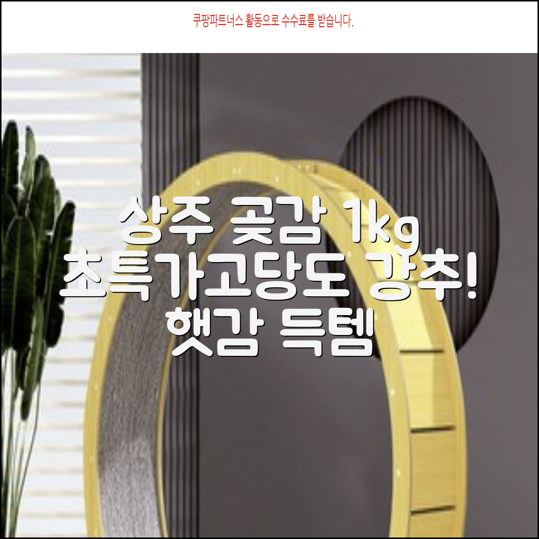 상주 곶감 초특가 1kg 고당도 햇감, 1개 추천 리뷰