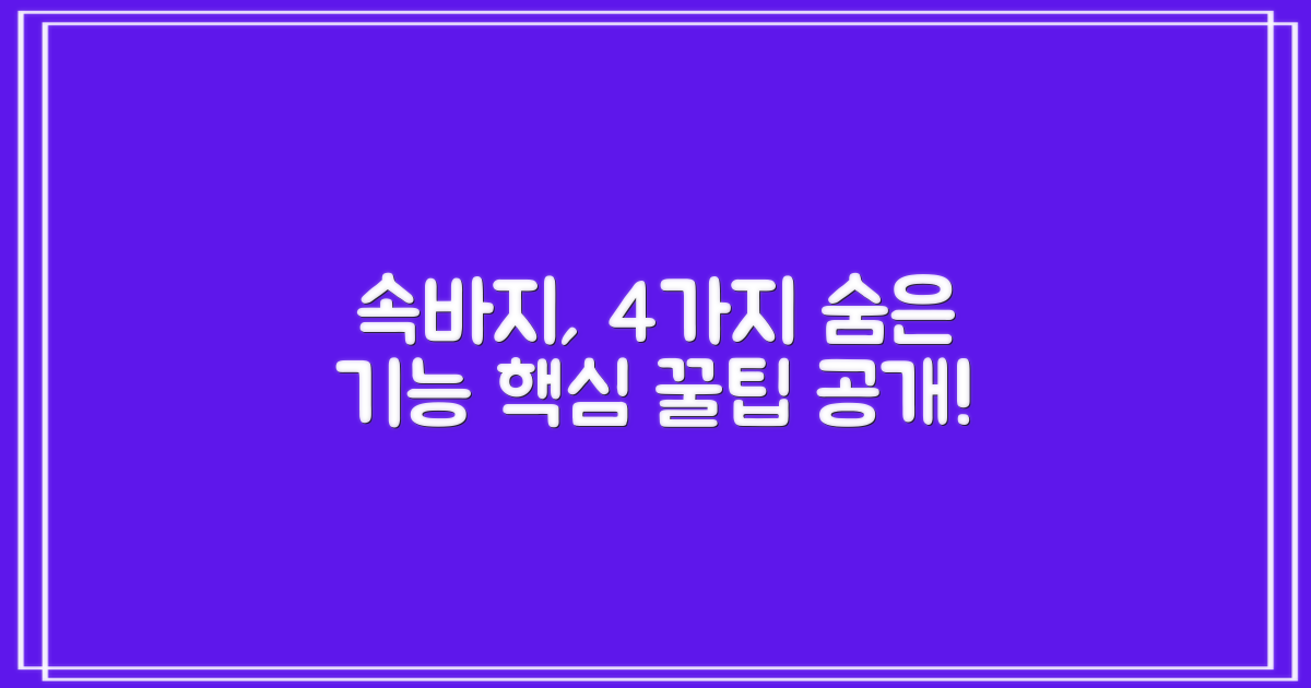 4가지 속바지 기능