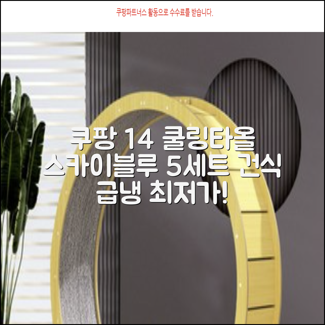 [쿠팡입점 1+4 이벤트] 아이스 쿨링 스포츠타올 건식 급냉 타올, 5세트, 스카이블루 추천 리뷰