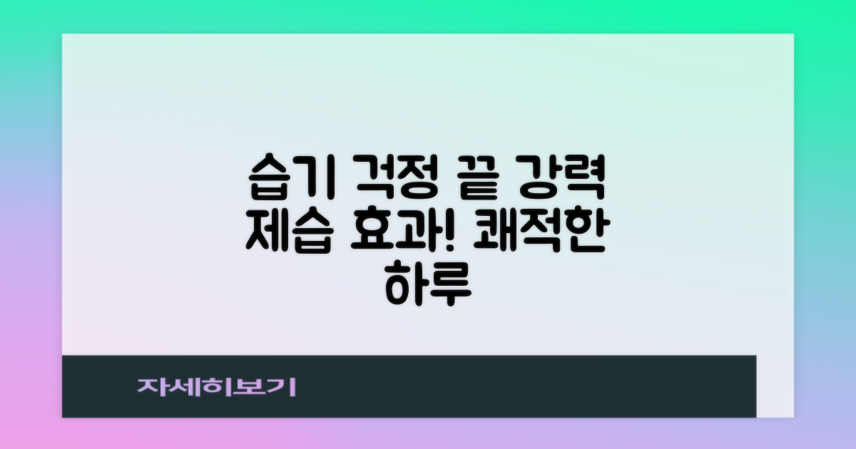강력 제습, 습기 걱정 끝