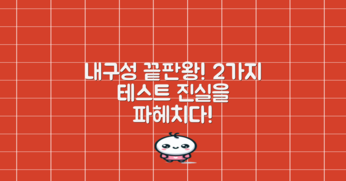 2가지 내구성 테스트