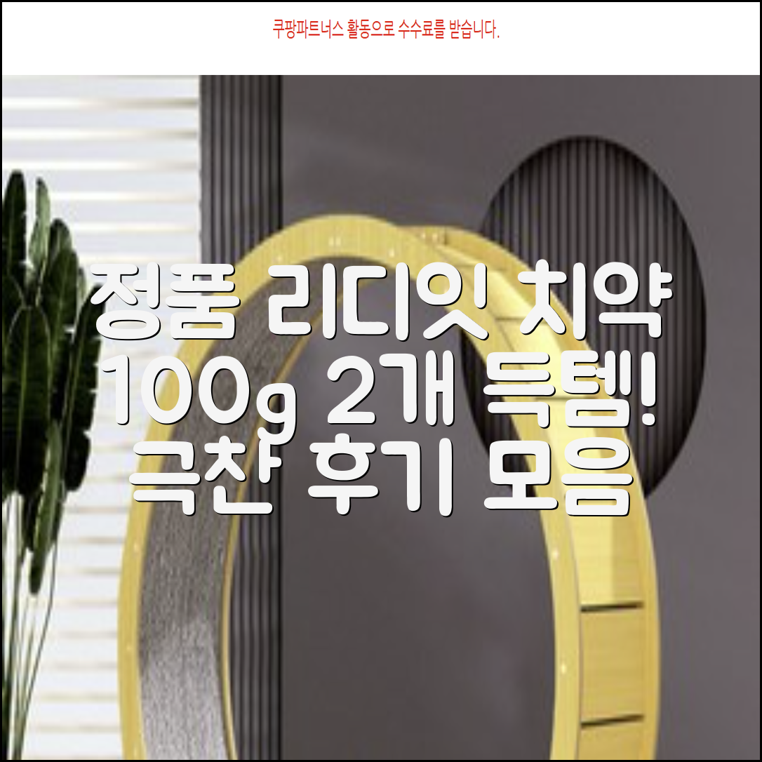 정품 리디에뜨 리디잇 치약, 100g, 2개 추천 리뷰