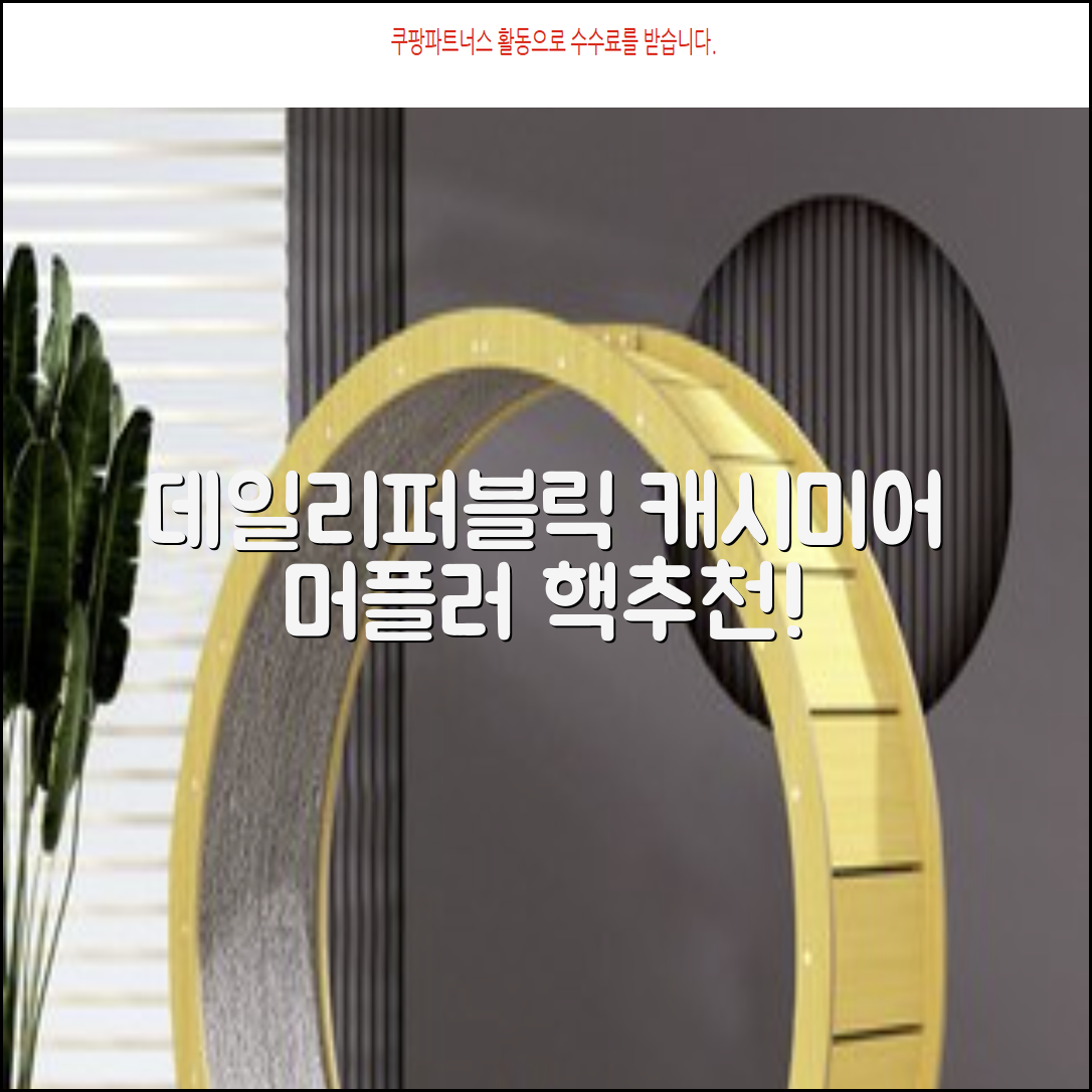 데일리퍼블릭 롱 캐시미어 머플러 목도리 넥워머 추천 리뷰