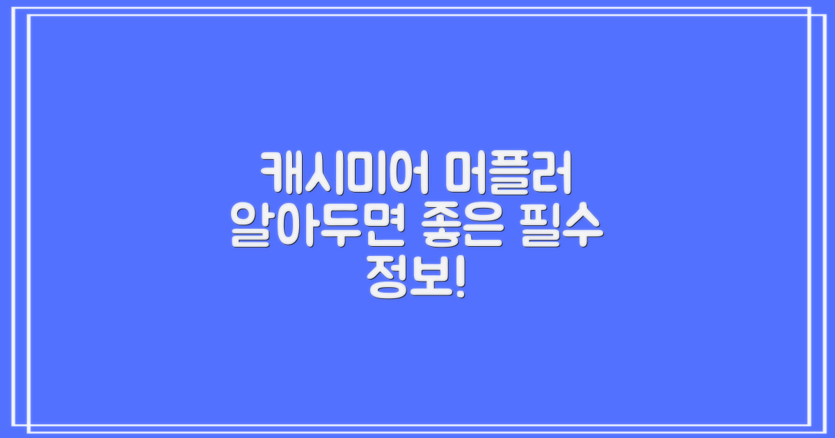 캐시미어 머플러, 이것만은 알아두자