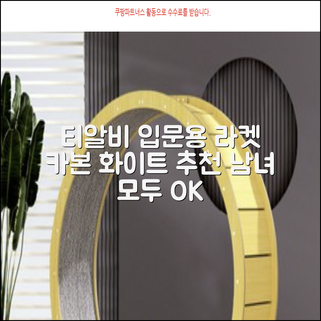 티알비 입문용 테니스라켓 여성 남자, 1개, 카본 화이트 추천 리뷰