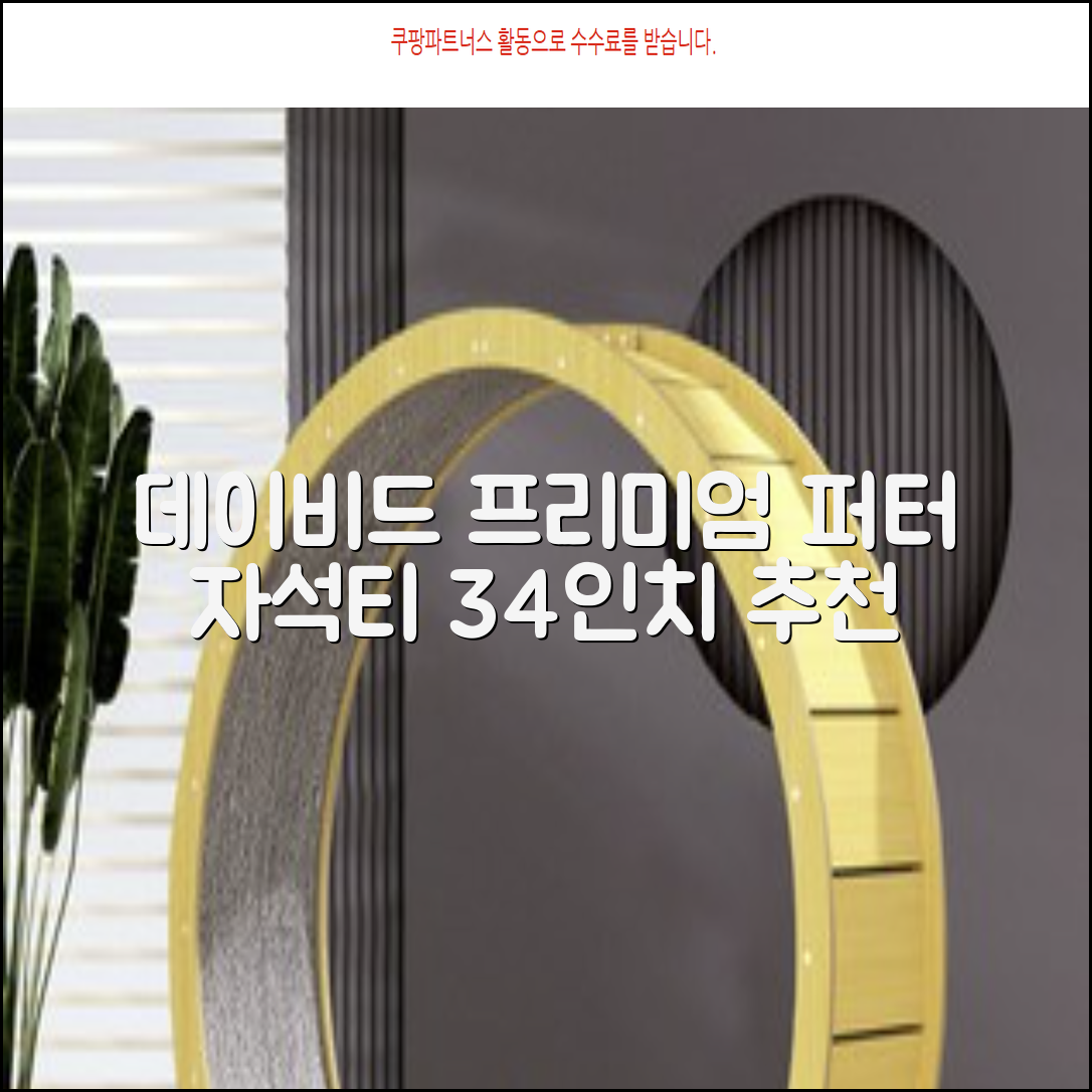 데이비드 프리미엄 투어 퍼터 말렛 블레이드 + 자석티 증정 퍼트 반달 일자, 34인치 추천 리뷰