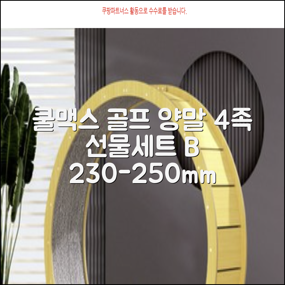 [오드삭스] 4개 선물세트 - 쿨맥스 골프 양말 4켤레 세트 B, M(230mm-250mm) 추천 리뷰