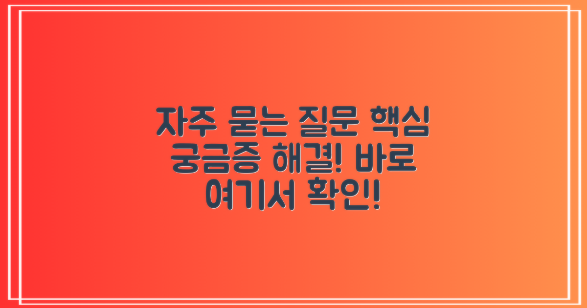 자주 묻는 질문