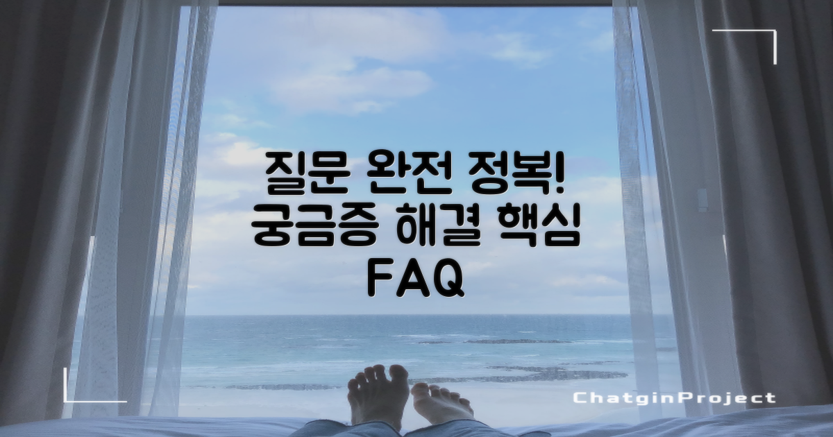 자주 묻는 질문