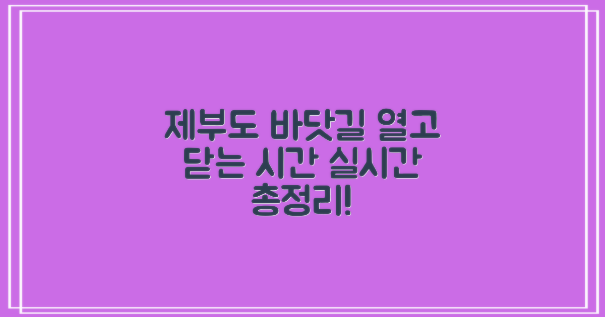 제부도 실시간 바닷길 물 때 시간표: 언제 열리고 닫힐까?