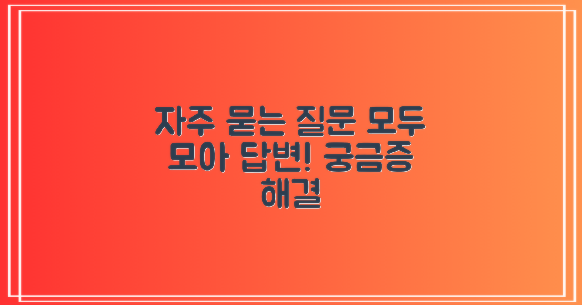 자주 묻는 질문