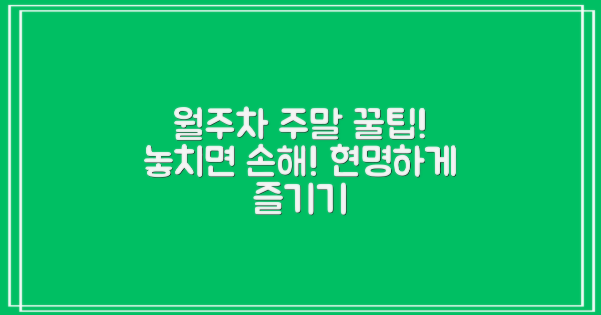 월주차 & 주말 이용 팁