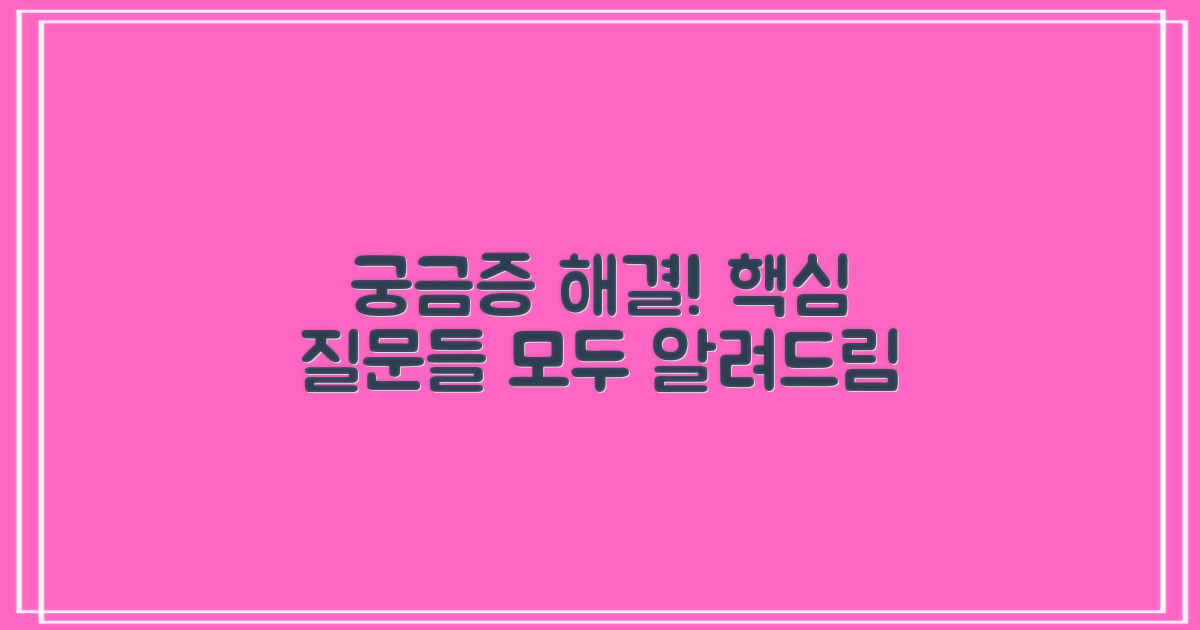 자주 묻는 질문